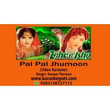 Pal Pal Jhoomun Audio Karaoke