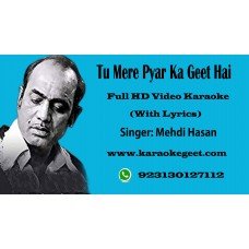 Tu Mere Pyar Ka Geet Hai Audio Karaoke