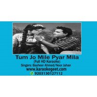 Tum jo mile pyar mila Audio Karaoke