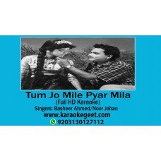 Tum jo mile pyar mila Audio Karaoke