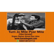 Tum jo mile pyar mila Video Karaoke